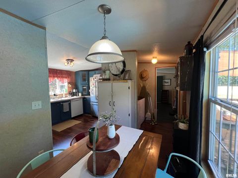 Tiny photo for 9549 Johns Lane, Marion, IL 62959 (MLS # EB459654)