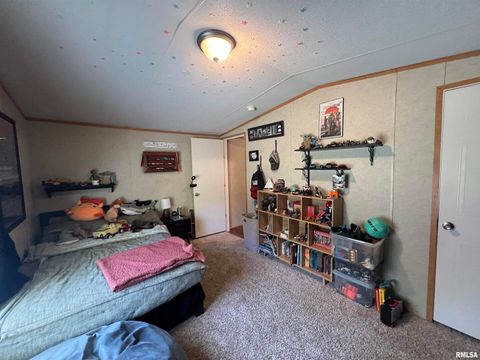 Tiny photo for 9549 Johns Lane, Marion, IL 62959 (MLS # EB459654)