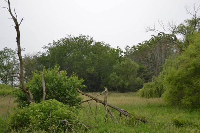500 S RANDALL Road