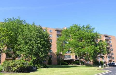 1747 W Crystal Lane Unit 207, Mount Prospect, IL 60056 - #: 12672244