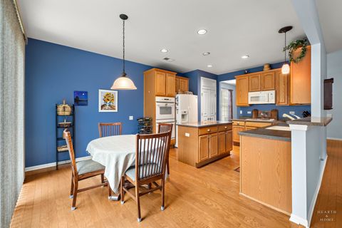 Tiny photo for Elgin, IL 60124 (MLS # 12585622)