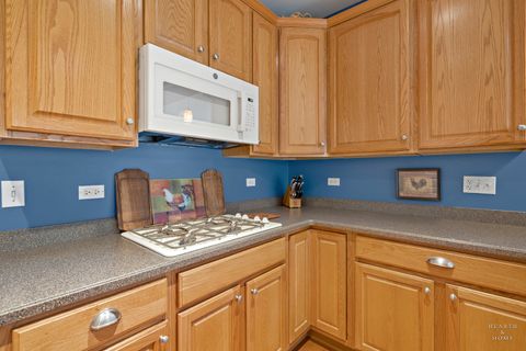 Tiny photo for Elgin, IL 60124 (MLS # 12585622)