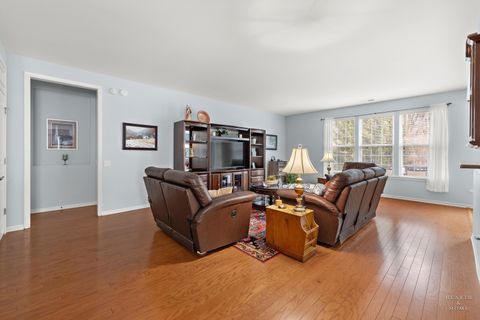 Tiny photo for Elgin, IL 60124 (MLS # 12585622)