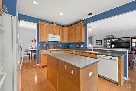 Tiny photo for Elgin, IL 60124 (MLS # 12585622)