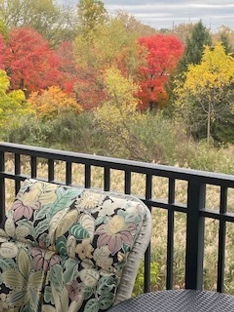 Tiny photo for 440 W Mahogany Court #312, Palatine, IL 60067 (MLS # 12495033)