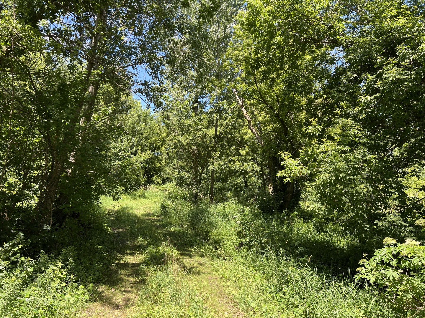 49.64 ACRES BECK Road