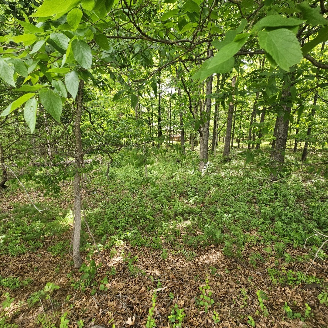 4143 Richview Road