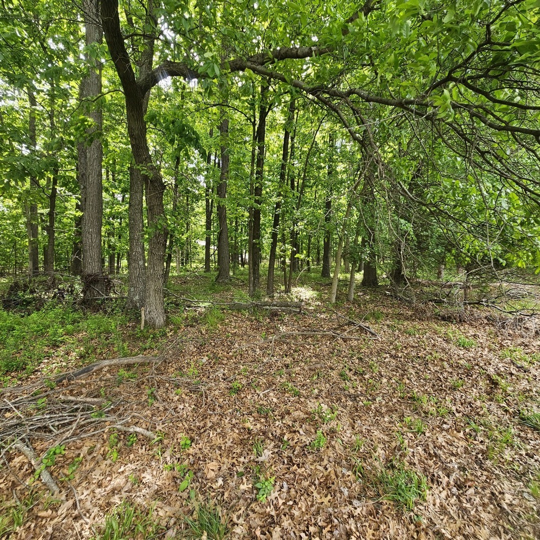 4143 Richview Road