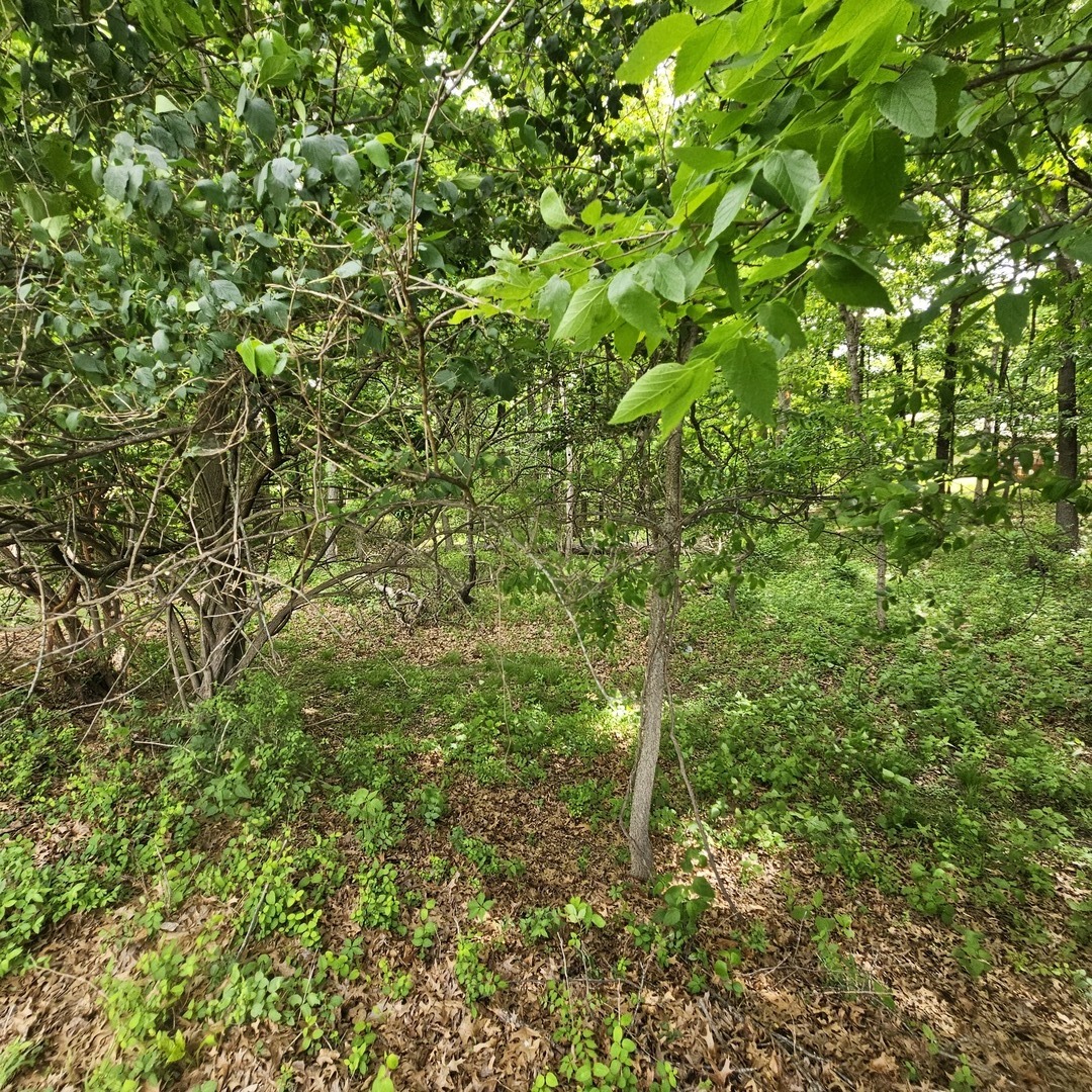 4143 Richview Road