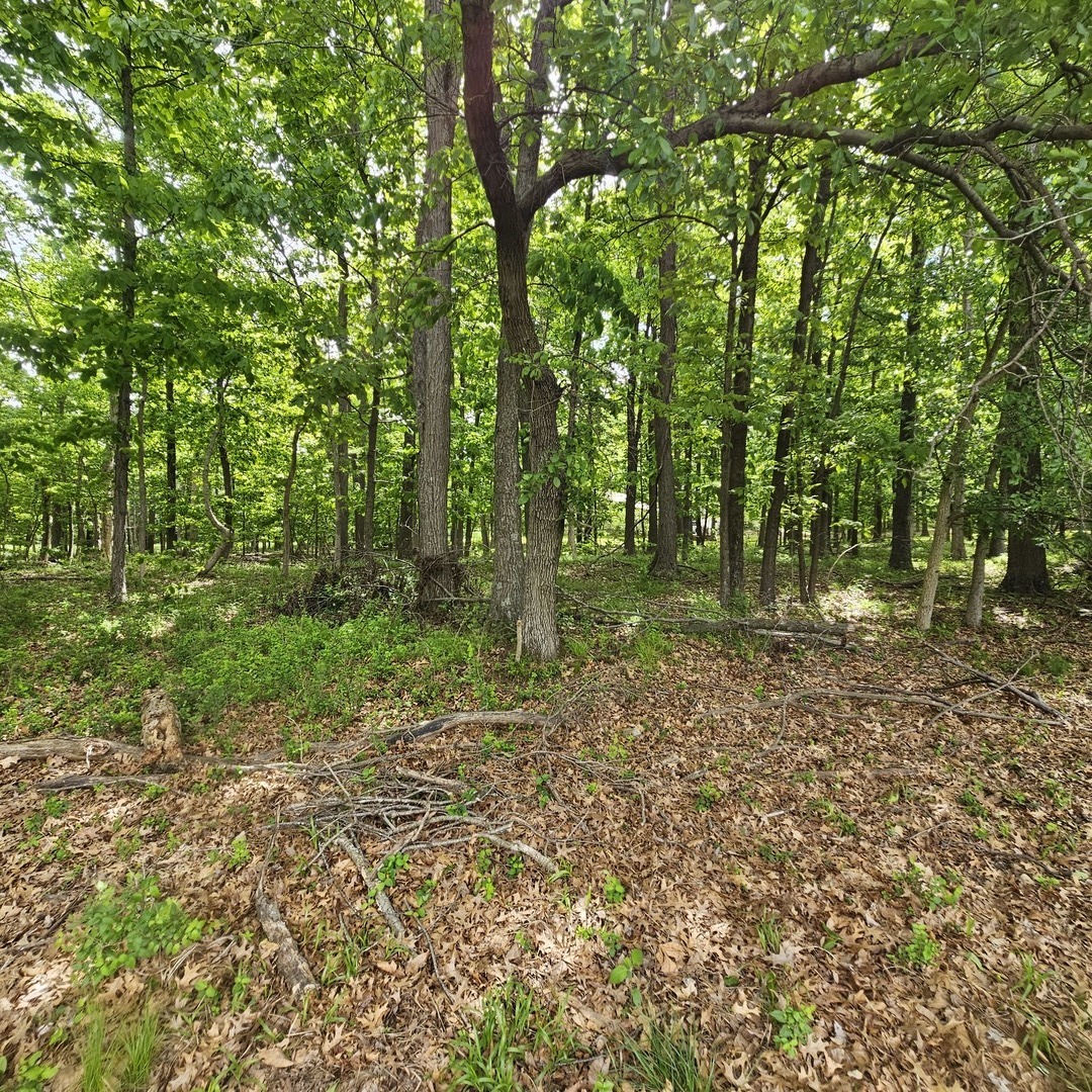 4143 Richview Road