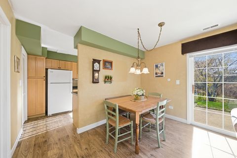Tiny photo for 1929 Loomes Avenue, Downers Grove, IL 60516 (MLS # 12517613)