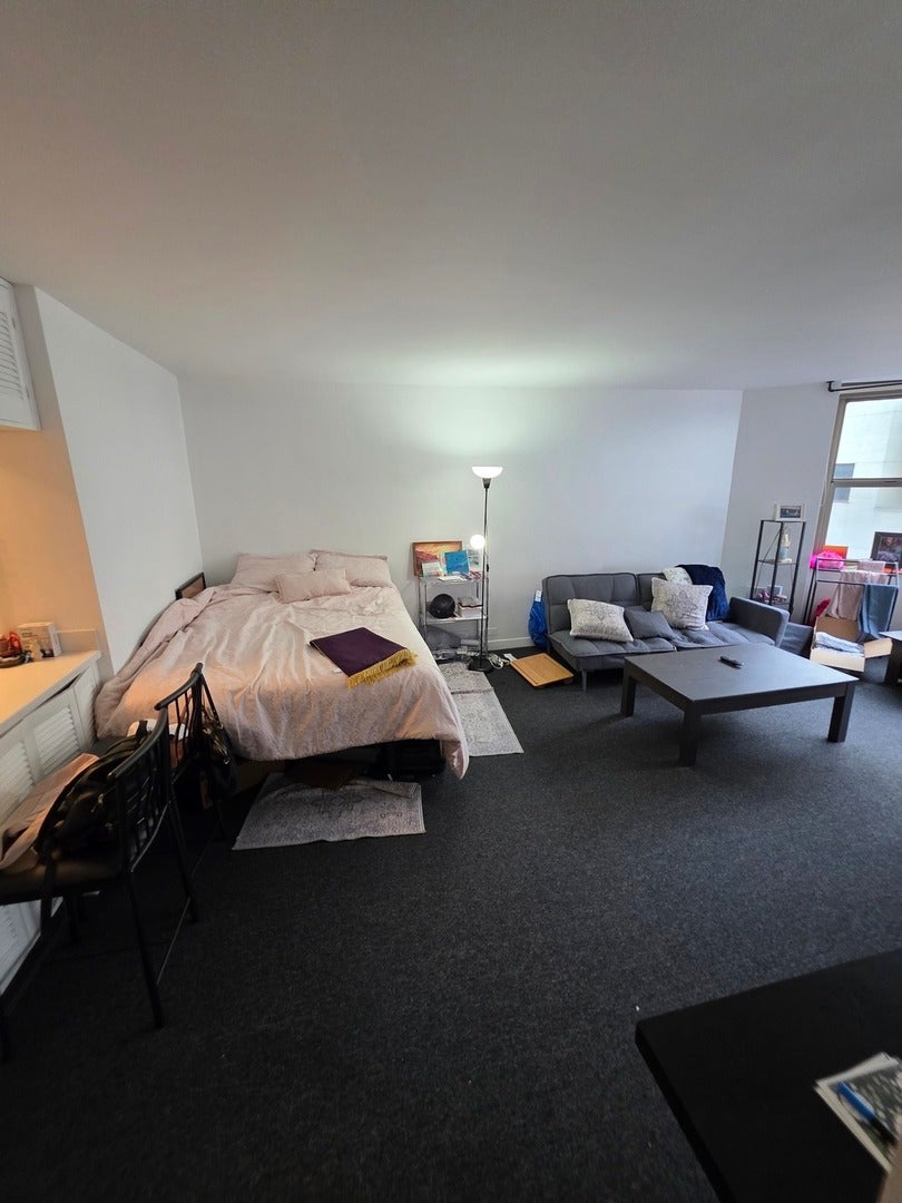 535 N Michigan Avenue 513