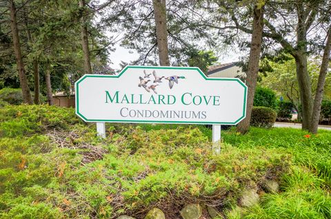 Tiny photo for 1206 S New Wilke Road #108, Arlington Heights, IL 60005 (MLS # 12453407)