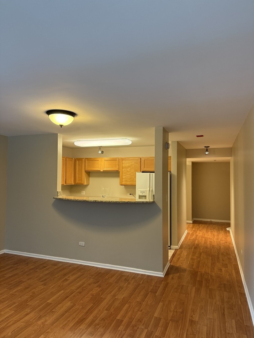 345 N La Salle Drive 209