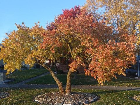 Tiny photo for 181 W 28th Street, South Chicago Heights, IL 60411 (MLS # 12583506)