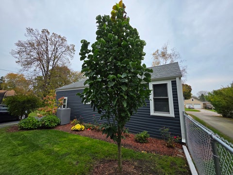 Tiny photo for 914 Landon Avenue, Winthrop Harbor, IL 60096 (MLS # 12795052)
