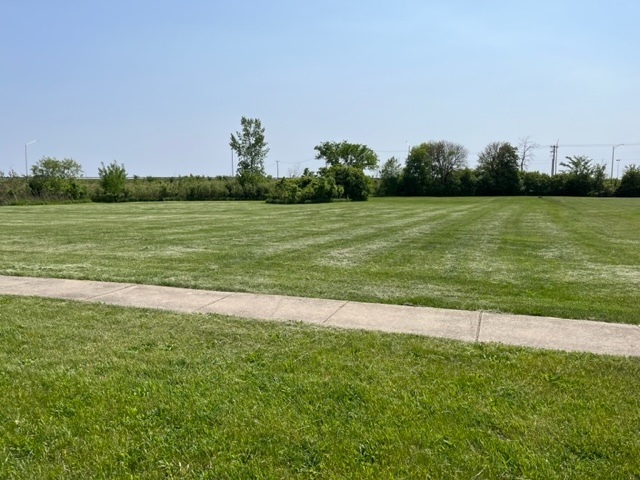 View Rochelle, IL 61068 land