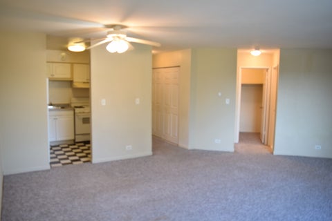 Tiny photo for 1475 Rebecca Drive #210, Hoffman Estates, IL 60169 (MLS # 12783823)