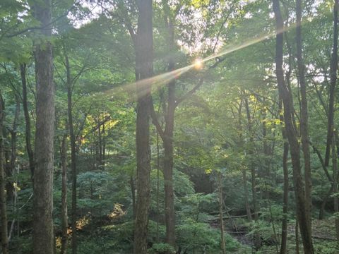 Tiny photo for 48 Woodland Gln Gln, Park Forest, IL 60466 (MLS # 12452969)