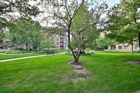 Tiny photo for 875 E 22nd Street #104, Lombard, IL 60148 (MLS # 12769714)