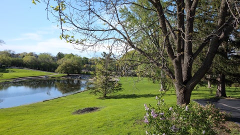 Tiny photo for 20450 N Meadow Lane, Deer Park, IL 60010 (MLS # 12662918)