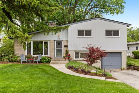816 Holmes Avenue Deerfield IL 60015