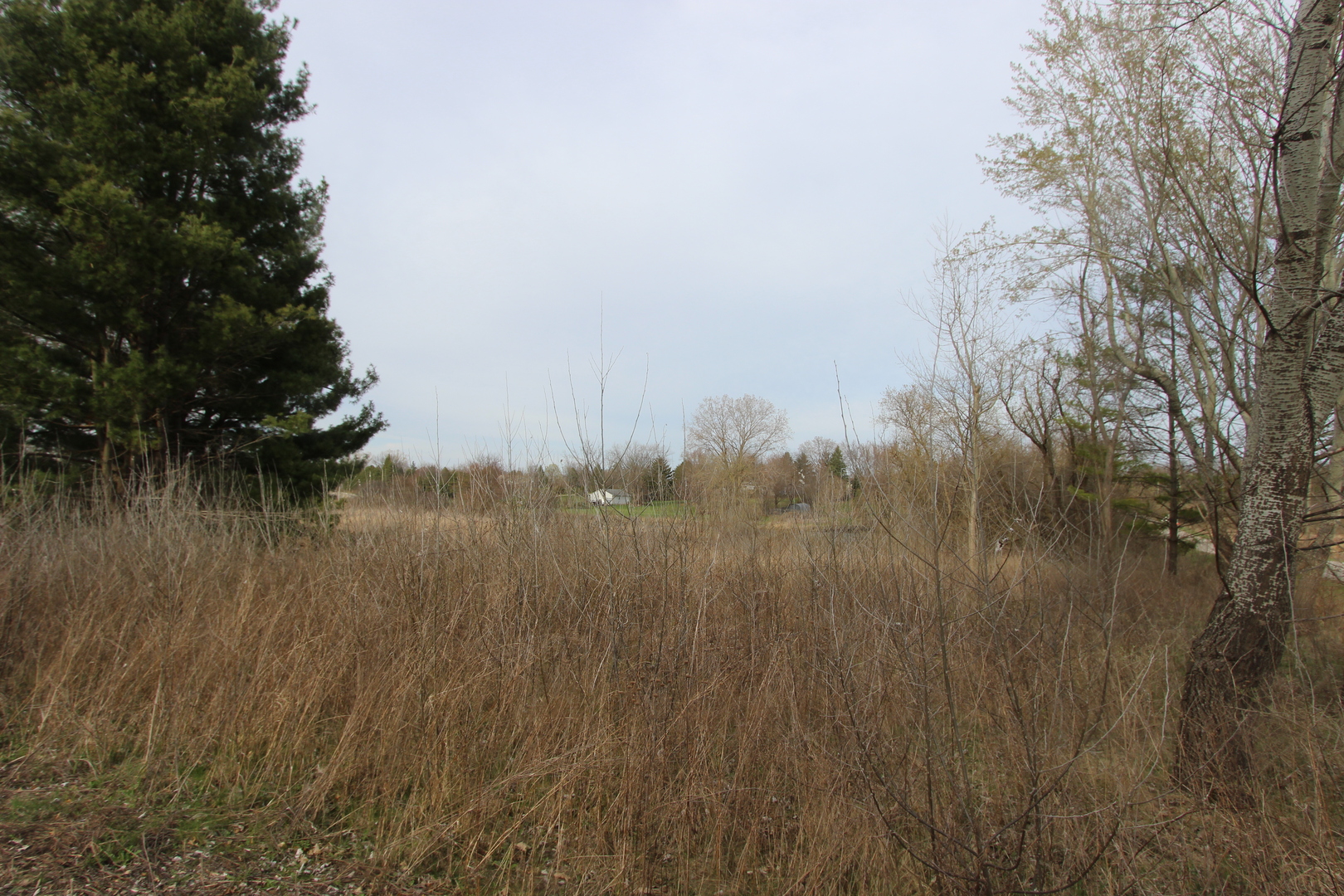 17206 OBrien Road