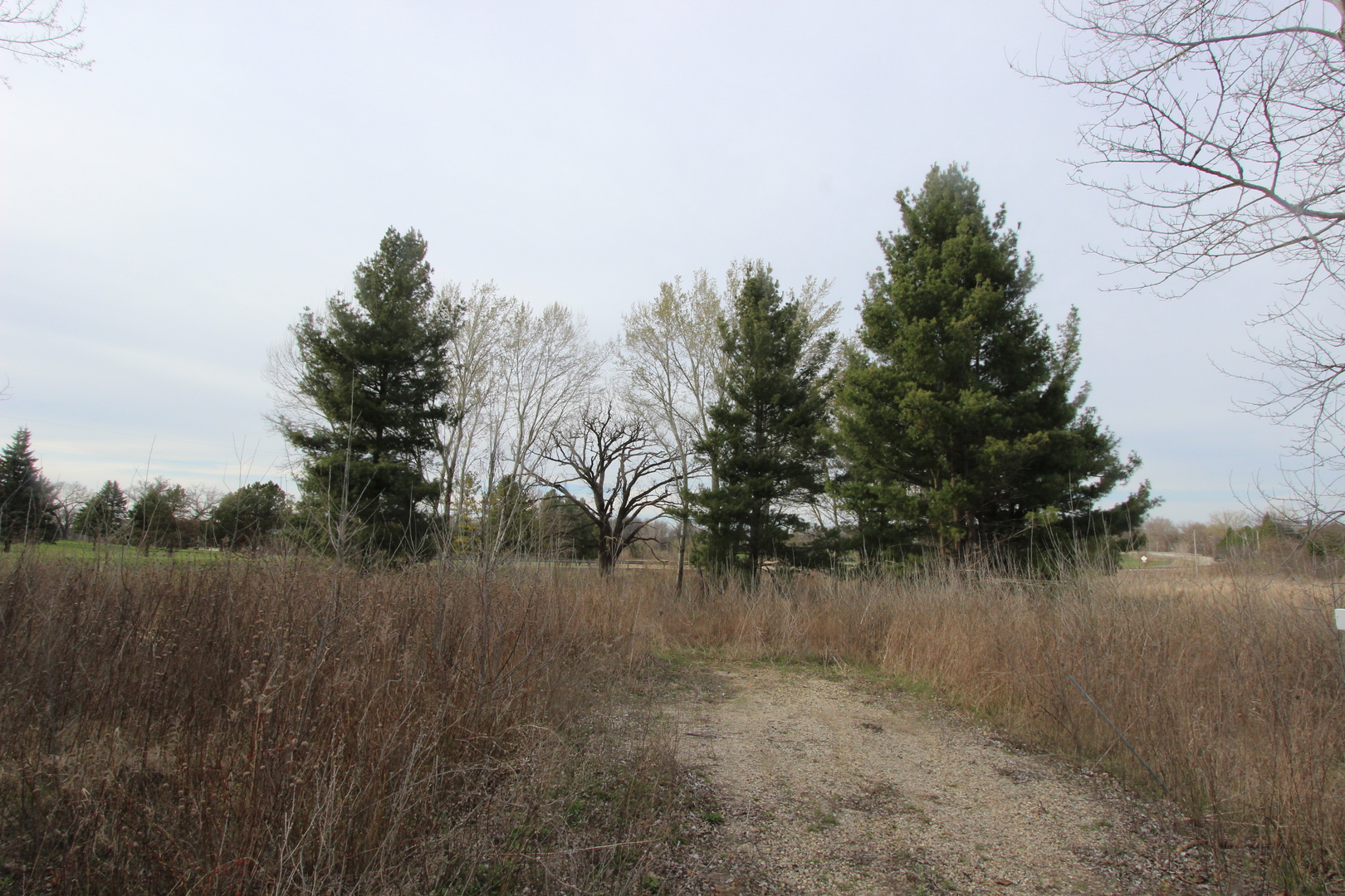 17206 OBrien Road