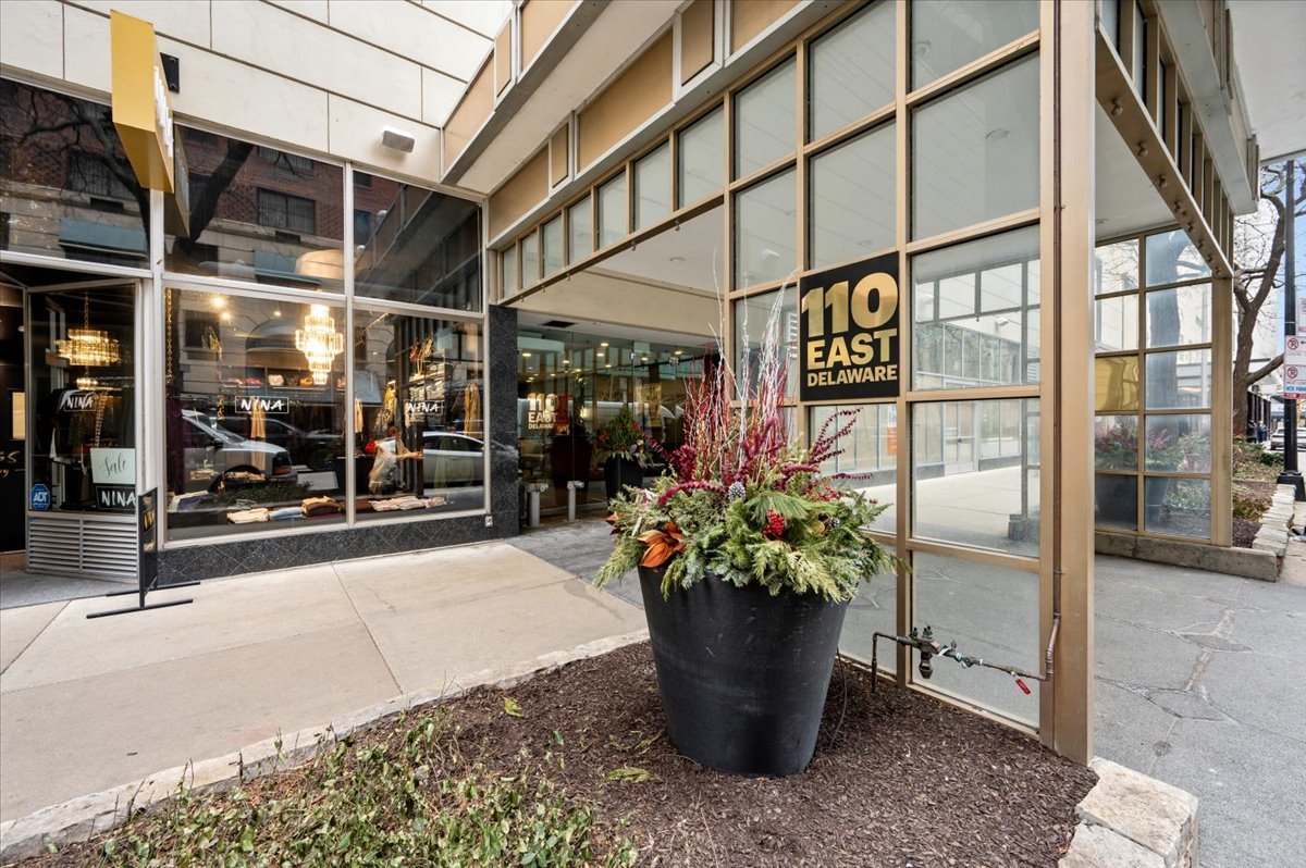 110 E Delaware Place 1702