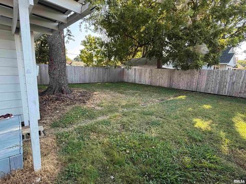 Tiny photo for 1100 CATHERINE Street, Metropolis, IL 62960 (MLS # EB459718)