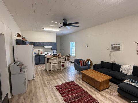 Tiny photo for 1100 CATHERINE Street, Metropolis, IL 62960 (MLS # EB459718)