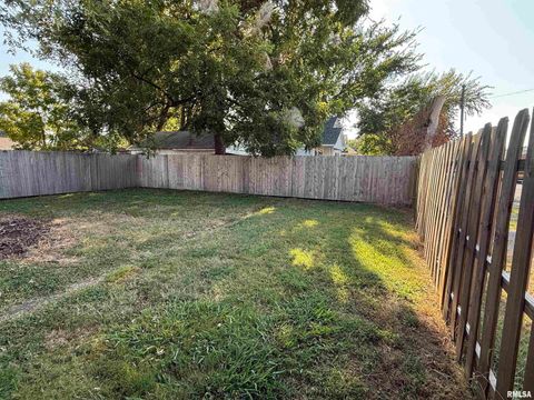 Tiny photo for 1100 CATHERINE Street, Metropolis, IL 62960 (MLS # EB459718)