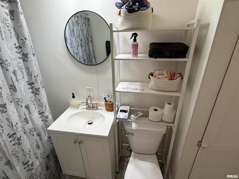 Tiny photo for 1100 CATHERINE Street, Metropolis, IL 62960 (MLS # EB459718)