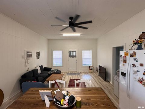 Tiny photo for 1100 CATHERINE Street, Metropolis, IL 62960 (MLS # EB459718)