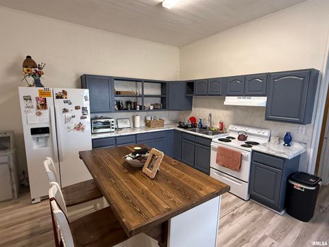 Tiny photo for 1100 CATHERINE Street, Metropolis, IL 62960 (MLS # EB459718)