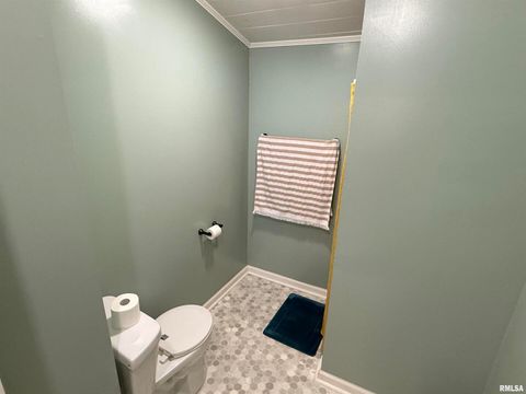 Tiny photo for 1100 CATHERINE Street, Metropolis, IL 62960 (MLS # EB459718)