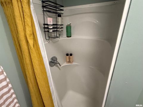 Tiny photo for 1100 CATHERINE Street, Metropolis, IL 62960 (MLS # EB459718)