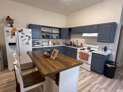 Tiny photo for 1100 CATHERINE Street, Metropolis, IL 62960 (MLS # EB459718)