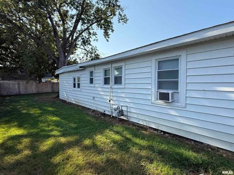 Tiny photo for 1100 CATHERINE Street, Metropolis, IL 62960 (MLS # EB459718)