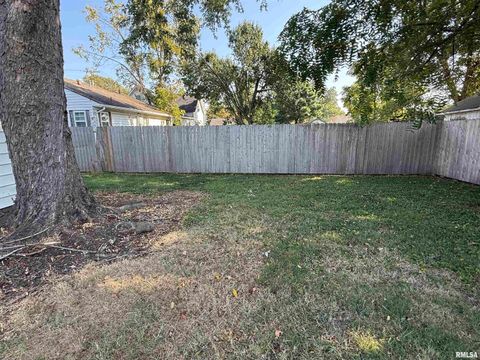 Tiny photo for 1100 CATHERINE Street, Metropolis, IL 62960 (MLS # EB459718)