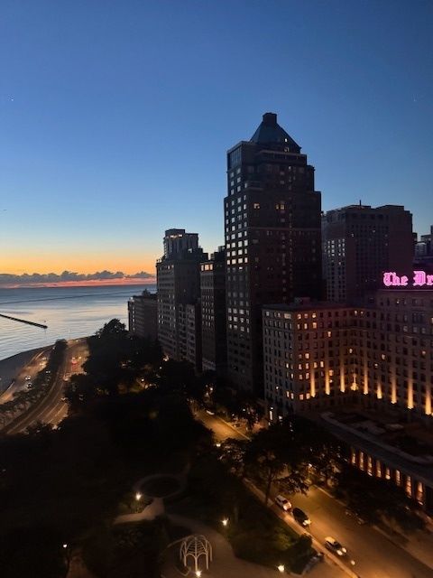 Tiny photo for 1000 N Lake Shore Drive #2009, Chicago, IL 60611 (MLS # 12604072)