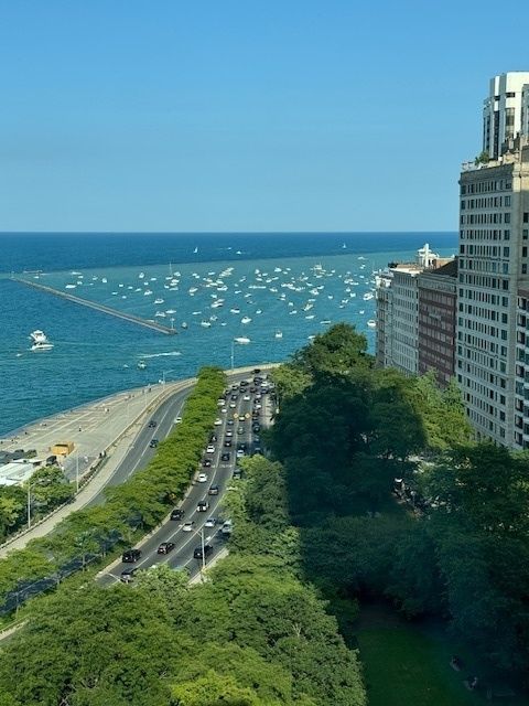 Tiny photo for 1000 N Lake Shore Drive #2009, Chicago, IL 60611 (MLS # 12604072)