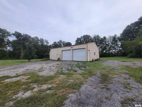 Tiny photo for 2210 E CLEVELAND Street, West Frankfort, IL 62896 (MLS # EB455243)