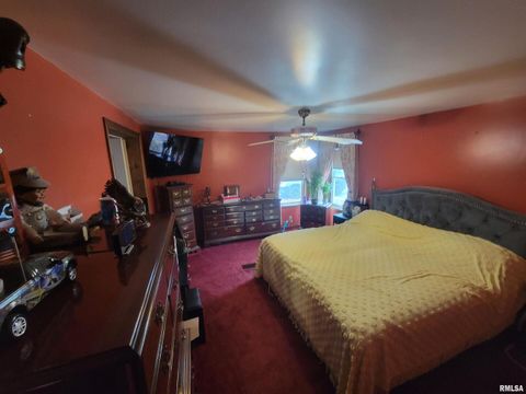 Tiny photo for 2210 E CLEVELAND Street, West Frankfort, IL 62896 (MLS # EB455243)