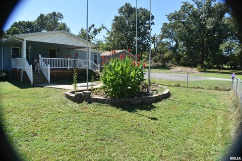 Tiny photo for 2210 E Cleveland St Street, West Frankfort, IL 62896 (MLS # EB455243)