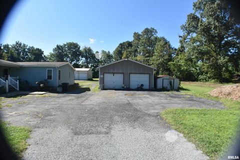 Tiny photo for 2210 E CLEVELAND Street, West Frankfort, IL 62896 (MLS # EB455243)