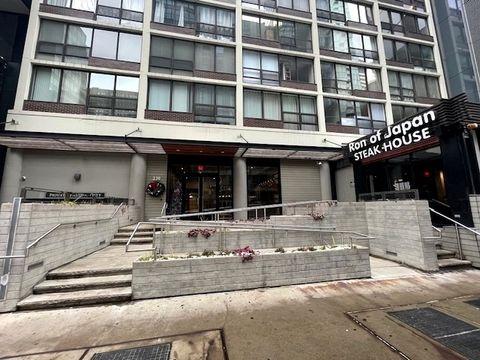 230 E Ontario Street 2405 Chicago IL 60611