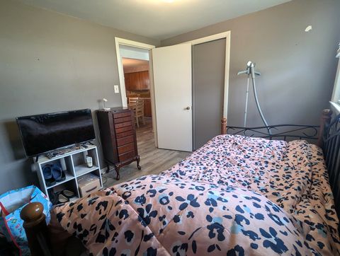 Tiny photo for 209 Hickory Lane, Momence, IL 60954 (MLS # 12613932)