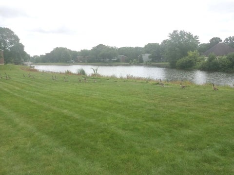 Tiny photo for 1480 Stonebridge Circle #D-1, Wheaton, IL 60189 (MLS # 12763661)