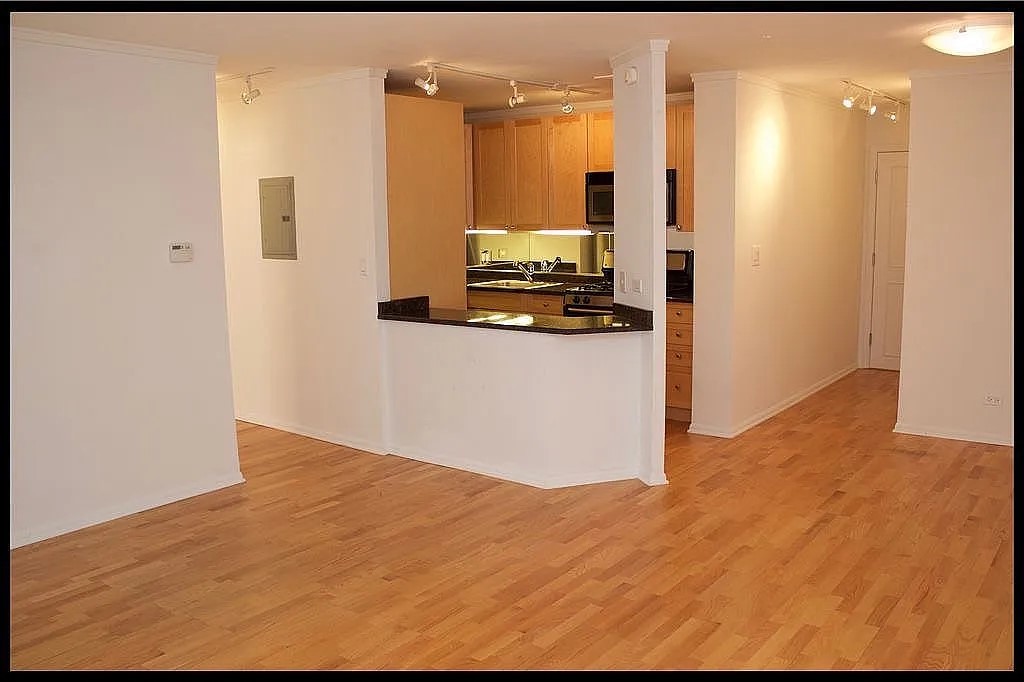 6102 N Sheridan Road 503